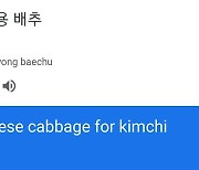 '김치용 배추' 구글로 번역하면 'Chinese cabbage' ..서경덕 "구글에 항의"