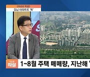 [이슈& 직설] 거래 절벽 속 서울 집값 하락 뚜렷, 대세 하락일까?..강남 아파트도 '뚝'