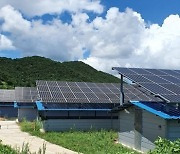 [2022국정감사] 정우택 의원 "새마을금고, 태양광발전시설에 1조 6000억 원 대출"
