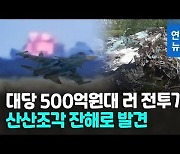 [영상] 우크라 탈환 리만서 대당 500억원대 러 전투기 잔해 발견