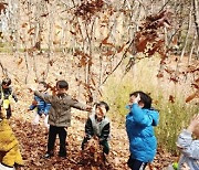 서울시, 공원에서 만나는 슬기로운 육아생활 유아숲 가족축제