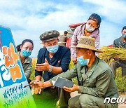 선전선동용 '이동식 속보판'으로 농업 생산 독려하는 북한
