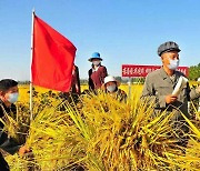 가을 수확철 맞아 농사 독려하는 북한.."김정은 은정에 쌀로 보답"