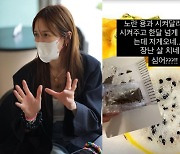 '엄태웅♥' 윤혜진, 용과 주문 후 한달→씨앗 배달 '황당'.."장난 살 치네"