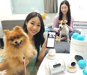 LGU+, 300만 반려동물 가구 위한 스마트홈 '펫토이' 출시