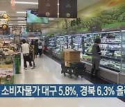 9월 소비자물가 대구 5.8%, 경북 6.3% 올라