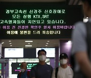 [단독]"내가 탄 열차만 늦는 줄"..KTX 지각운행 매월 282건