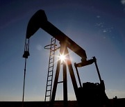 [국제유가] "OPEC+ 하루최대 200만배럴 감산 검토".. WTI, 3.5%↑
