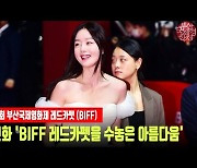 한선화 'BIFF 레드카펫을 수놓은 아름다움' [MD동영상]