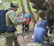 지리산국립공원 경남사무소, 불법·무질서행위 집중 단속