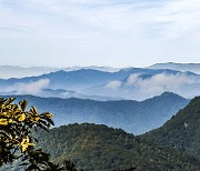 운탄고도 1330 첫걸음축제 8∼9일 태백서 개최