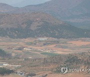 "북한 평양 산림지 회복 전망..남북 산림 매개로 협력가능"