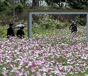 가을 산책