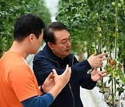 방울토마토 재배현장 둘러보는 윤석열 대통령