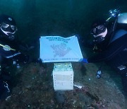 국립해양생물자원관, 제주서 연산호 밤수지맨드라미 방류