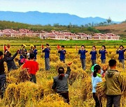 북한, 올해 농사 성과 위해 '선전선동활동'도 강조