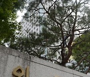 베트남 호텔 수영장서 한인 사망.. 외교부 "영사조력 제공"