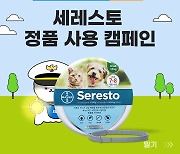 세레스토 정품 사용 캠페인..가짜 강아지 진드기 목걸이 '주의'