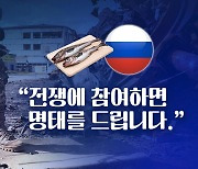 [뉴스큐] 전쟁 참여하면 명태에 도다리, 연어도 드립니다?..러시아 군 동원령