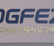 대구경북경자청, 해외 무역사절단 파견