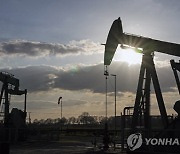 OPEC+, 200만배럴 감산 합의.."유가 상승에 경기 부담"