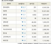 [fnRASSI]장마감, 코스닥 하락 종목(연이비앤티 -30.7% ↓)