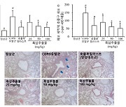 알피바이오, 농진청·생명연 공동연구 "흑삼추출물 호흡기건강 개선효능 확인"