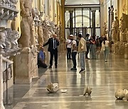 "교황 나와".. 바티칸 박물관서 조각상 훼손한 행패남