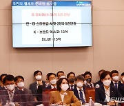 尹정부 첫 중기부 국감..서밋불참·모태펀드·예산삭감 공세