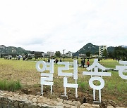 '송현동 부지' 100년만에 시민 품으로 ..7일 개방