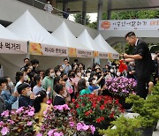 충북국제교육원, '2022 충북 다문화 어울림축제' 개최