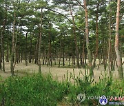 북한, 몽금포 자연공원 사진 공개