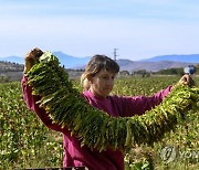 NORTH MACEDONIA TOBACCO AGRICULTURE WEATHER