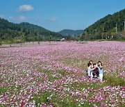 정읍시, 장금이 정원으로 꽃 구경 오세요