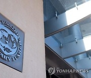 IMF "내년 경제성장률 2.9%서 하향 조정할 것"