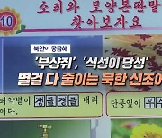 '부샹쥐', '식성이 당성' 별걸 다 줄이는 북한 신조어