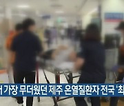 역대 가장 무더웠던 제주 온열질환자 전국 '최다'