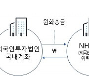 NH선물서 7조 규모 '수상한 외환거래'.. 선물·증권사도 조사대상