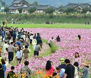 화사한 꽃과 화려한 불꽃..풍성한 축제로 만끽하는 가을