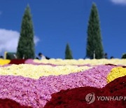 '무르익는 가을'..연휴 첫날 축제장·산·바다·관광지 들썩