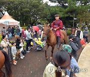 렛츠런파크 제주마 축제