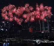 밤하늘에 쏘아올려진 불꽃