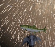 금강산댐 옆 케이블카..외국인 10만명 찾는 산천어축제, 벌써 관광객 유치