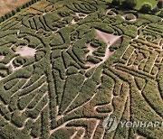 USA CORN MAZE