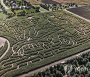 USA CORN MAZE