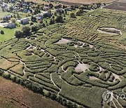 USA CORN MAZE