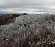 가을 속 겨울.. 평창 오대산·발왕산 첫 상고대