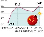 GDP대비 부채비율 역대 최고..대륙에 출몰한 '회색 코뿔소'