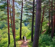 경북도, '산림박람회' 엑스코에서 오는 13일부터 사흘간