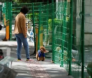 中 상하이 재봉쇄 우려..반려견 산책시키는 주민들